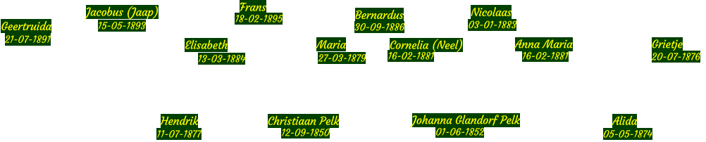 Geertruida Frans Elisabeth Jacobus (Jaap) Bernardus Nicolaas Maria Cornelia (Neel) Alida Christiaan Pelk Hendrik Anna Maria Grietje Johanna Glandorf Pelk Alida 21-07-1891 15-05-1893 13-03-1884 27-03-1879  30-09-1886 01-06-1852 12-09-1850 20-07-1876  03-01-1883 11-07-1877 05-05-1874 16-02-1881 18-02-1895 16-02-1881